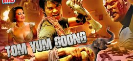 Tom Yum Goong The Protector 2024 Hindi Dubbed Movie ORG 720p WEBRip 1Click Download