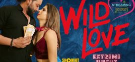 Wild Love (2024) Hindi Uncut ShowHit hot Short Film 1080p Watch Online